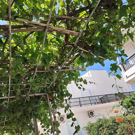 Dreeme Naxos